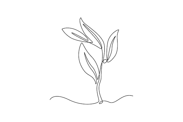 Concepto de plantas y hierbas de dibujo de una sola línea Ilustración de vector gráfico de diseño de dibujo de línea continua