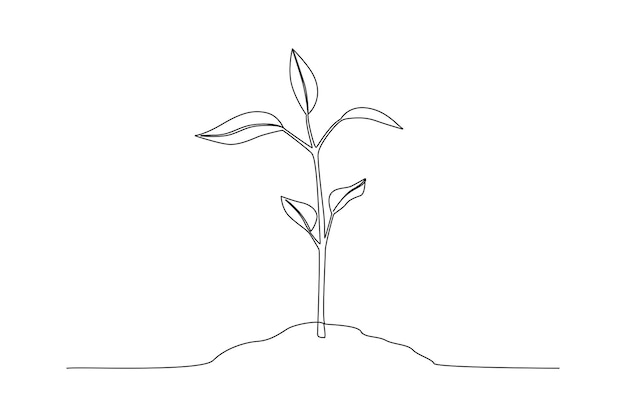 Concepto de plantas y hierbas de dibujo de una sola línea Ilustración de vector gráfico de diseño de dibujo de línea continua