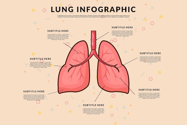 Concepto de plantilla infográfica de órgano pulmonar con diseño simple