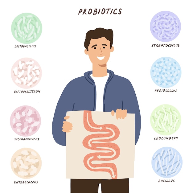 Vector concepto de probióticos. hombre mostrando su buena digestión con la ayuda de buenas bacterias. ilustración de vector plano dibujado a mano.