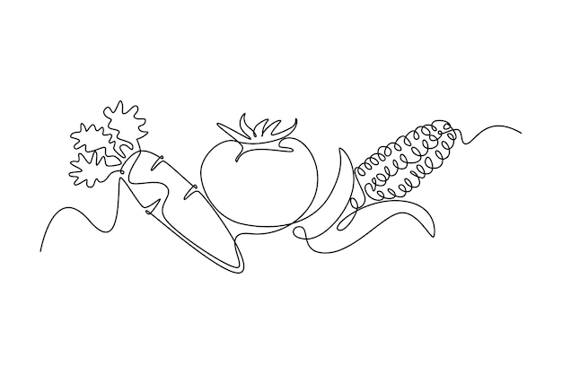 Concepto de producción orgánica local Ilustración gráfica vectorial de diseño de dibujo de línea única