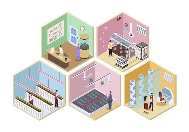 El concepto de salas isométricas 3D agrícolas modernas en diseño gráfico de isometría para la web Personas que trabajan en invernaderos inteligentes y granjas de crecimiento vertical investigando plantas en el laboratorio Ilustración vectorial