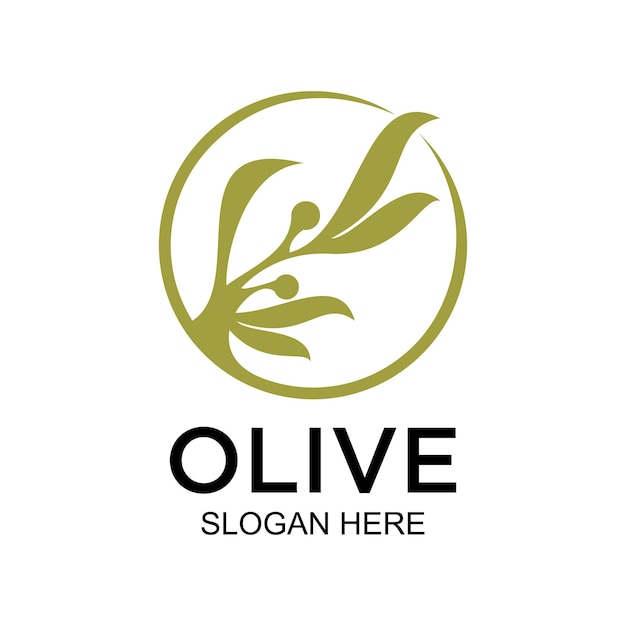 Concepto simple de diseño de logotipo de oliva Vector Premium