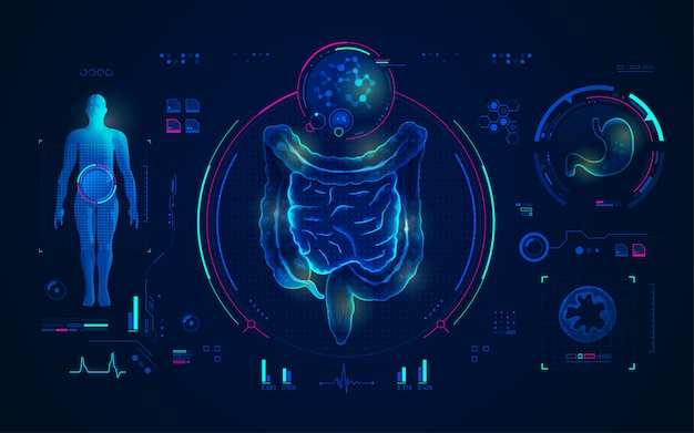 concepto de tecnología médica, exploración del intestino y el estómago