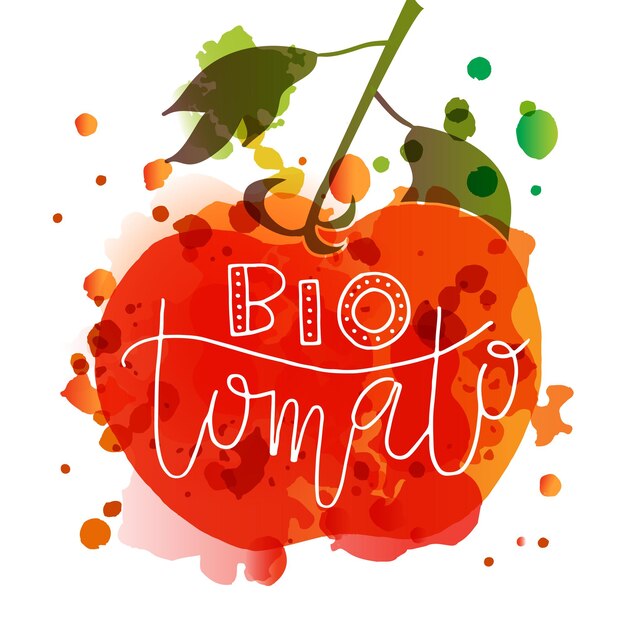 Concepto de tipografía de letras de tomate bio bosquejado a mano para el mercado de agricultores de alimentos orgánicos naturales