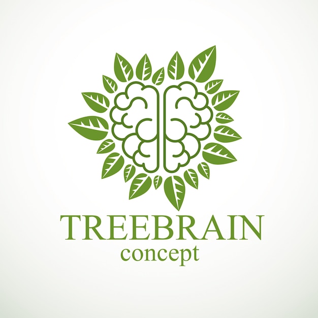 Concepto Tree Brain, la sabiduría de la naturaleza, evolución inteligente. Cerebro anatómico humano en forma de árbol con hojas verdes. Alimentación cerebral con productos dietéticos. Diseño de logotipo o icono vectorial.