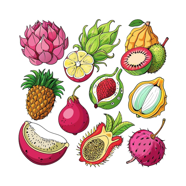 Conceptos de ilustración vectorial de frutas realistas
