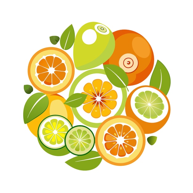 Conceptos de ilustración vectorial de frutas realistas