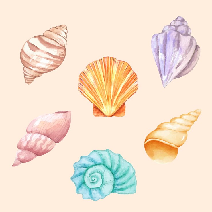 Vector concha de acuarela conjunto de ilustraciones de la colección cute sea animals