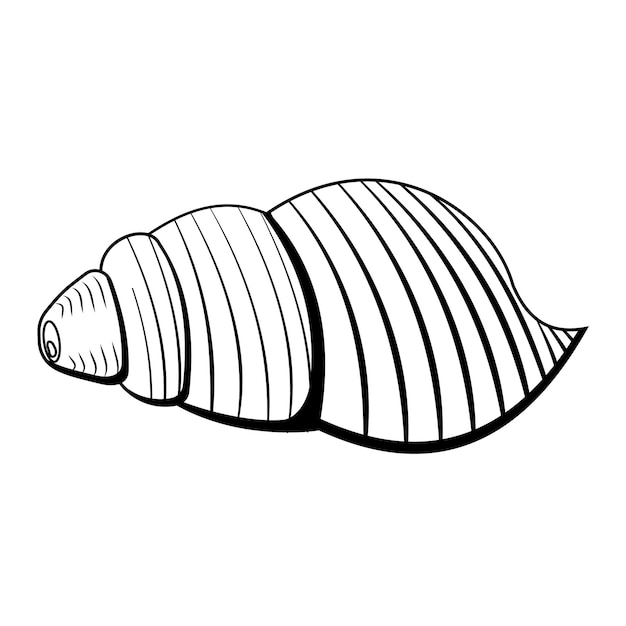 Concha aislada Ilustración vectorial de una línea de contorno negra al estilo de un garabato