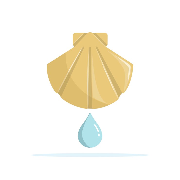 Vector concha bautismal y gota de agua. sacramento del bautismo