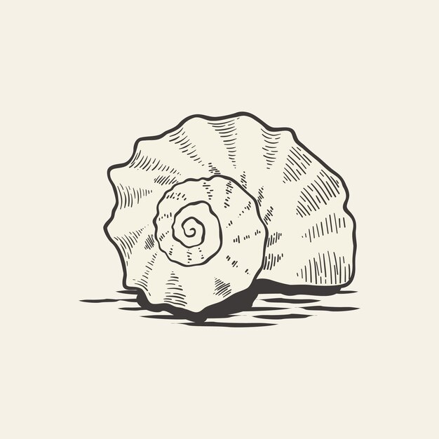 concha de caracol de mar utilizando la técnica de grabado
