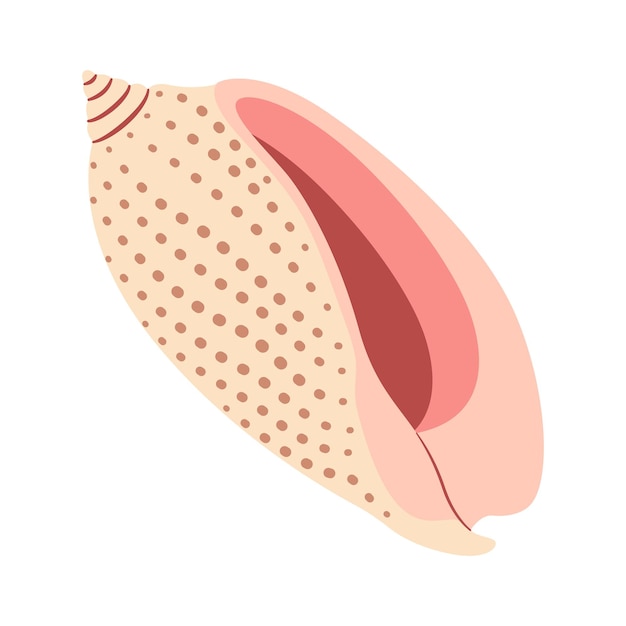 Concha de mar dibujada a mano en estilo volute de dibujos animados ilustración plana concha de mar aislada sobre fondo blanco