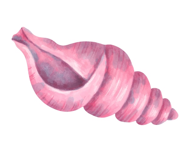 Concha de mar espiral acuarela e ilustración de marcador Esbozo de bivalvos Arte aislado dibujado a mano Vida submarina salvaje Molusco oceánico Concha para diseño de menú trajes de baño para niños Fauna marina exótica