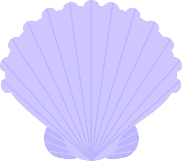 Concha de mar de estilo dibujado a mano