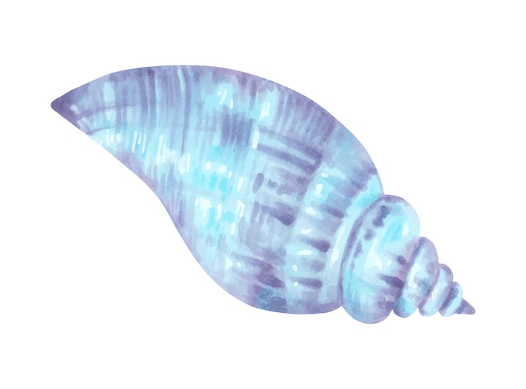 Vector concha de mar ilustración de acuarela y marcador esbozo de bivalvos arte aislado dibujado a mano vida submarina silvestre caracol de océano concha para diseño de menú traje de baño para bebé fauna marina exótica