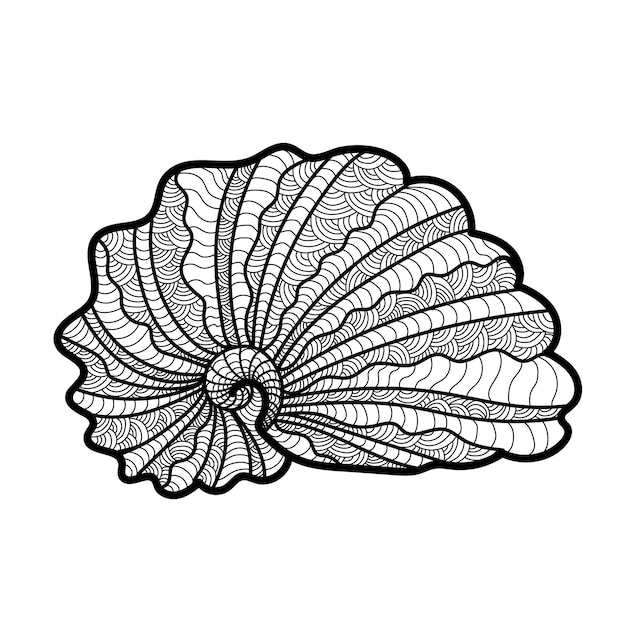 Concha de mar de línea de ilustración vectorial con hermosa concha ornamental zentangle dibujada por línea