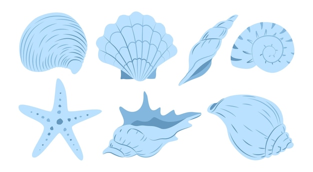 Conchas exóticas submarinas del océano