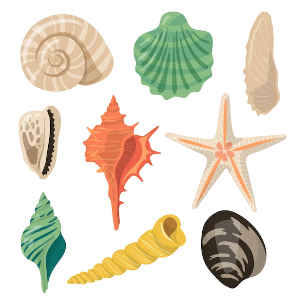 Vector conchas de mar en la arena. iconos vectoriales acuáticos en estilo de dibujos animados.