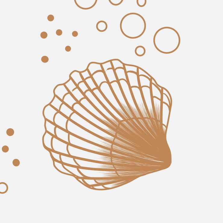 Conchas marinas conchas marinas naturaleza océano agua subacuática vector Conchas de mar arte de línea dibujo a mano marino