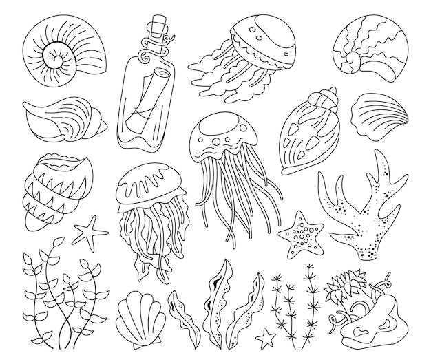 Conchas marinas esquema doodle conjunto océano marino coral mensaje molusco algas concha medusa vector