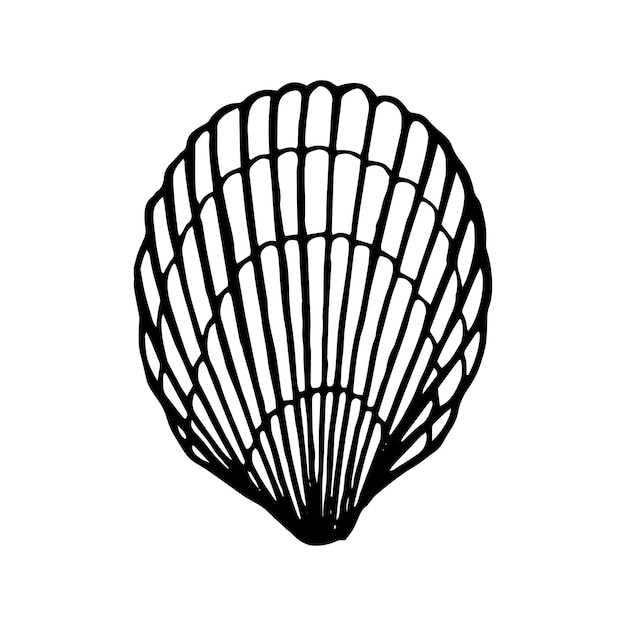 Conchas marinas Ilustración vectorial dibujada a mano en estilo boceto