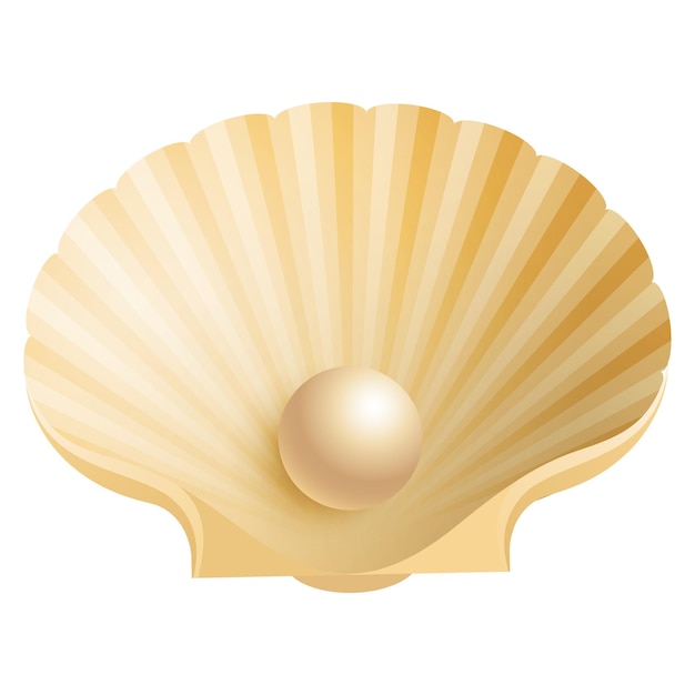 conchas marinas vectoriales15