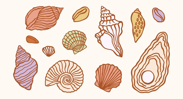 Conchas oceánicas submarinas ilustraciones retro minimalistas antiguas conjunto de dibujos vectoriales de conchas marinas