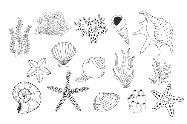Conchas plantas marinas y estrellas de mar aisladas sobre fondo blanco ilustración de vector de arrecife de coral colección de iconos lineales de moluscos de almejas conjunto de contorno de vida oceánica