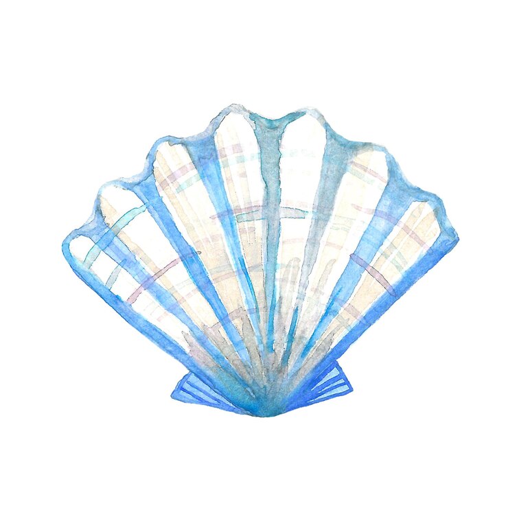 Vector las conchas tropicales azules