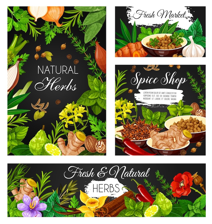 Vector condimentos de especias y pancartas de hierbas aromáticas.