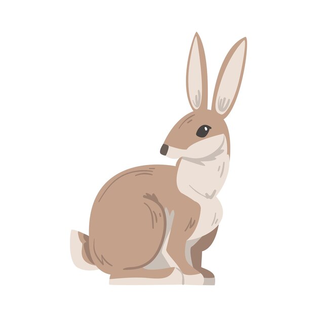 Coneja sentada o conejo jackrabbit como animal rápido con orejas largas y pelaje marrón grisáceo Ilustración vectorial