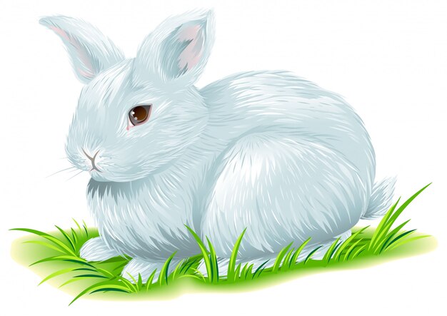 Vector conejito de pascua blanco sentado sobre la hierba verde