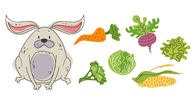 Conejo conejito nutrición animal alimento aislado conjunto diseño gráfico elemento ilustración