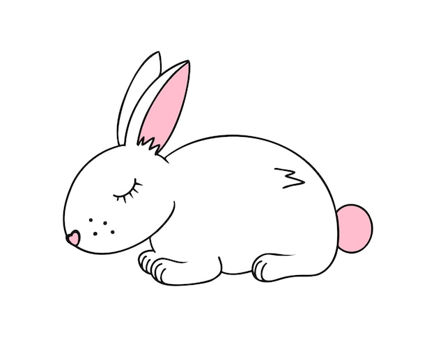 Vector conejo conejo animal ilustración dibujada a mano