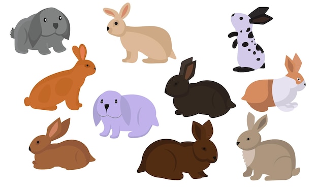 Conejo o liebre caricatura conejito mascota Animales iconos y conjunto de granja raza pascua Roedor aislado blanco