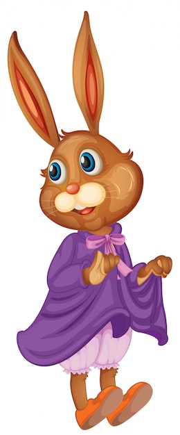 Conejo