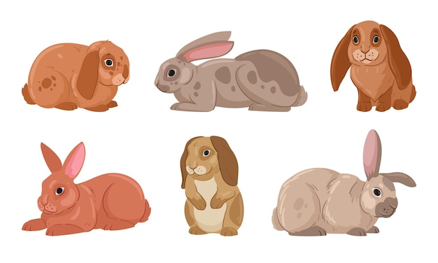 Conejos de Pascua de primavera dibujos animados conejitos salvajes con orejas conejos animales domésticos esponjosos conejos planos de ilustración vectorial colección de conejos de vacaciones de Pascua