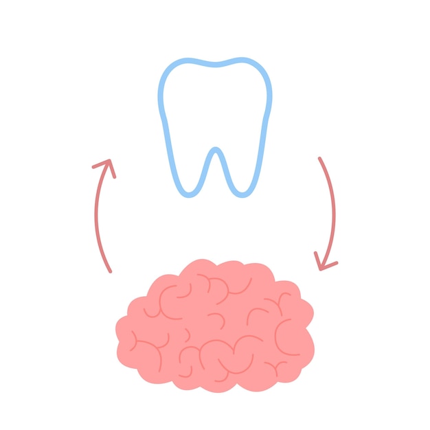 Conexión de dientes y cerebro sanos Relación de salud del cerebro y los dientes humanos Mental y masticación