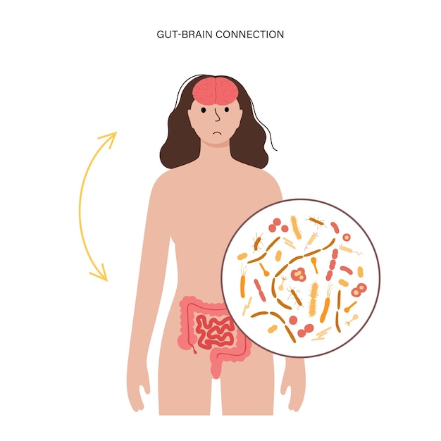 Conexión intestino-cerebro