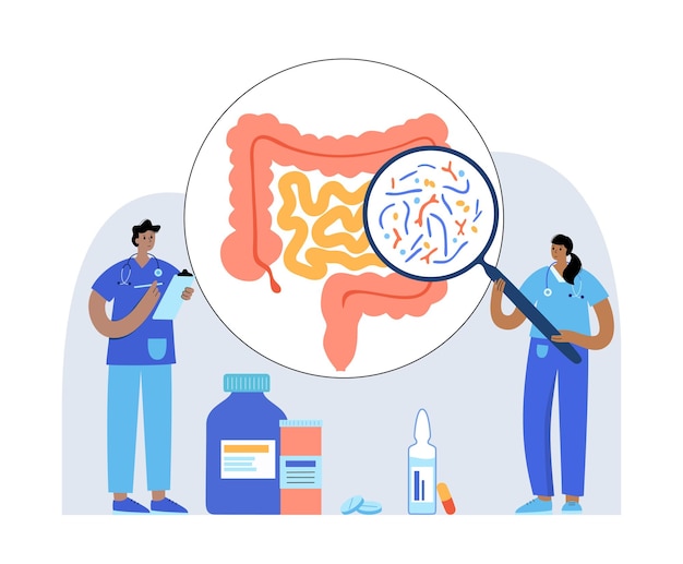 Conexión intestino-cerebro