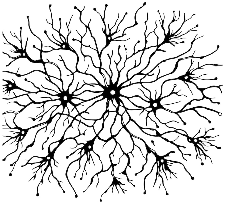 Conexiones neuronales boceto de una línea