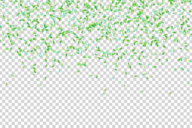 Confeti de hojas caídas realista para decoración y revestimiento en el fondo transparente. Concepto de otoño.