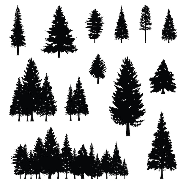 Vector conífera, pino, abeto, conífera, árbol, bosque, silueta