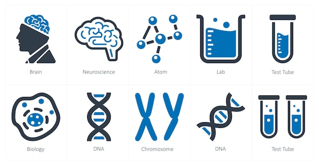 Un conjunto de 10 iconos de Ciencia y Experimento como átomo de neurociencia del cerebro