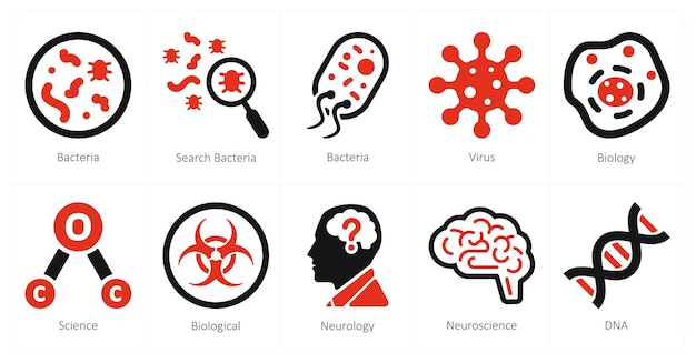 Un conjunto de 10 iconos de ciencia y experimento como bacterias en busca de bacterias virus