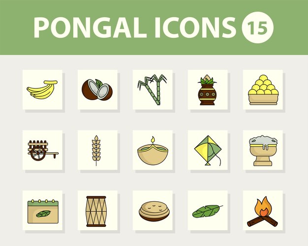 Conjunto de 15 iconos de celebración Pongal sobre fondo cuadrado blanco