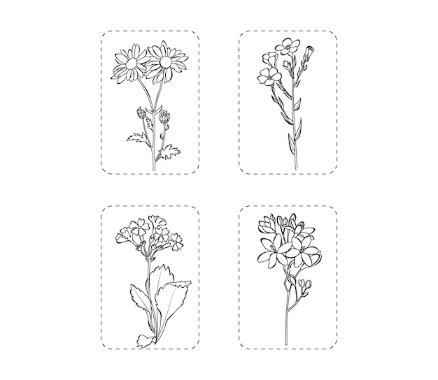 Vector conjunto de 4 flores ilustración vectorial contorno de flores botánicas con hojas aisladas fondo blanco