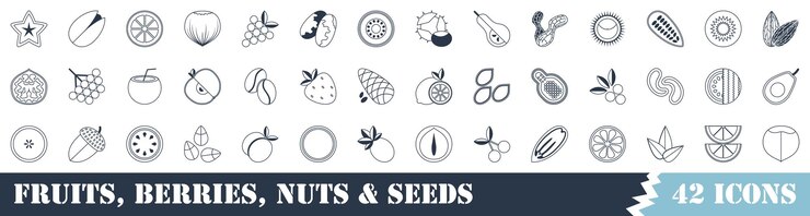 Conjunto de 42 iconos de contorno relacionados con frutas de primavera bayas nueces y semillas icono lineal vectorial