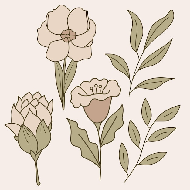 Conjunto de 5 elementos botánicos vectoriales con flores y ramas en lineal pastel